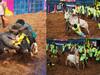 Palamedu Jallikattu : சீறிப்பாயும் காளைகளுக்கும் அசால்ட் செய்யும் வீரர்களுக்கும் என்னென்ன பரிசு?