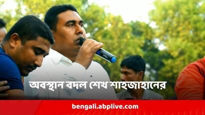 TMC leader Sheikh Shahjahan Do not want to be party in ED Case In Sandeshkhali case Sandeshkhali ED Raid: কলকাতা হাইকোর্টে অবস্থান বদল শেখ শাহজাহানের, এবার আদালতে কী বললেন তাঁর আইনজীবী?