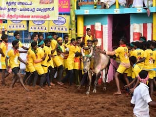 Jallikattu 2025 Date and Place in Tamilnadu Full Details Here TNN Jallikattu 2025 Date: தமிழகத்தில் ஜல்லிக்கட்டு போட்டிகள் எங்கே, எப்போது நடைபெறும்?-முழு விபரம் இதோ