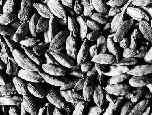 ਇਲਾਇਚੀ ਦੇ ਪੌਦੇ ਨੂੰ ਉਗਾਉਣ ਲਈ ਤੁਹਾਨੂੰ ਚੰਗੀ ਨਿਕਾਸ ਵਾਲੀ ਅਤੇ ਹਲਕੀ ਮਿੱਟੀ ਵਿੱਚ 1 ਸੈਂਟੀਮੀਟਰ ਦੀ ਡੂੰਘਾਈ ਵਿੱਚ ਬੀਜ ਬੀਜਣ ਦੀ ਲੋੜ ਹੈ। ਦੁਬਾਰਾ ਫਿਰ, ਮਿੱਟੀ ਦੀ ਨਮੀ ਰੱਖੋ ਅਤੇ ਇਸ ਨੂੰ ਸਿੱਧੀ ਧੁੱਪ ਤੋਂ ਬਚਾਓ।