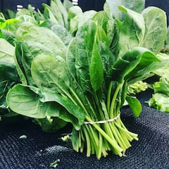 spinach Benefit : शुक्राणू वाढवण्यापासून वजन कमी करण्यापर्यंत पालकाचे अनेक फायदे!