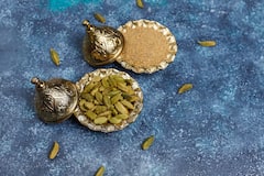 अगर इलायची का पौधा आज लगाएं तो कितने दिन में उगने लग जाएगी?