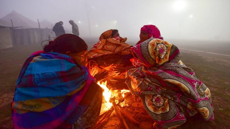 Weather update today severe cold wave in north india Delhi up records coldest morning fog to continue for few more days IMD forecast marathi news Weather Update : थंडीचा जोर वाढला! पुढील 5 दिवसात तापमानात आणखी घट होणार; काय सांगतो IMDचा अंदाज?