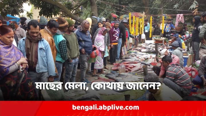 Uttarayan Mela At Bandel:  দূর দূরান্ত থেকে বহু মাছ ব্যবসায়ী নদী পুকুর ছাড়াও বিভিন্ন সামুদ্রিক মাছের পসরা নিয়ে বিক্রি করেন।