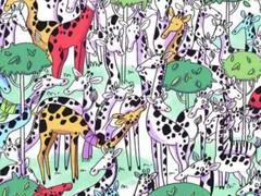 Optical Illusion: जिराफ के इस झुंड के बीच कहीं छिपा है जेब्रा, पैनी नजर वालों के लिए 7 सेकेंड में खोज निकालने का है चैलेंज