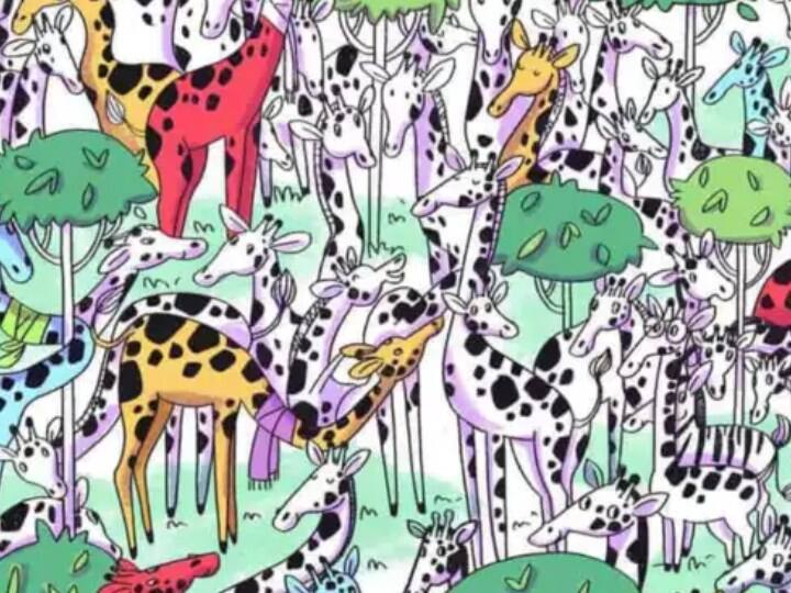 इस तस्वीरमें जेब्रा को ढूंढने के लिए आपके पास 7 सेकेंड का समय है.