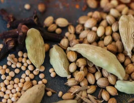 ਇਲਾਇਚੀ ਦੇ ਪੌਦੇ ਨੂੰ ਚੰਗੀ ਤਰ੍ਹਾਂ ਵਧਣ ਲਈ, ਇਸ ਨੂੰ ਛਾਂ ਵਾਲੀ ਜਗ੍ਹਾ 'ਤੇ ਰੱਖਣਾ ਚਾਹੀਦਾ ਹੈ। ਪੌਦੇ ਨੂੰ 20 ਤੋਂ 30 ਡਿਗਰੀ ਸੈਲਸੀਅਸ ਦੇ ਤਾਪਮਾਨ ਵਿੱਚ ਉਗਾਉਣਾ ਚਾਹੀਦਾ ਹੈ।