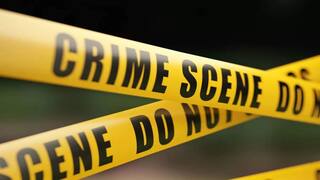 Anand Crime News: વિદ્યાનગરમાં પતિએ હોટલમાં કરી પત્નીની હત્યા, બાદમાં ખુદ કર્યો આપઘાતનો પ્રયાસ