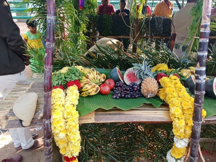 கோழிகமுத்தி யானைகள் முகாமில் யானை பொங்கல் சிறப்பாக கொண்டாடப்பட்டது.
