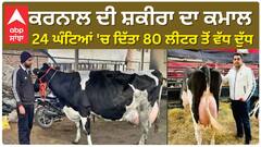 Karnal Shakira Cow Milking Record | ਕਰਨਾਲ ਦੀ ਸ਼ਕੀਰਾ ਦਾ ਕਮਾਲ - 24 ਘੰਟਿਆਂ 'ਚ ਦਿੱਤਾ 80 ਲੀਟਰ ਤੋਂ ਵੱਧ ਦੁੱਧ