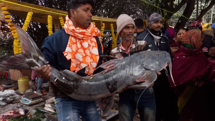 দূর দূরান্ত থেকে বহু মাছ ব্যবসায়ী নদী পুকুর ছাড়াও বিভিন্ন সামুদ্রিক মাছের পসরা নিয়ে বিক্রি করে।হুগলি ছাড়াও বর্ধমান, হাওড়া, নদিয়া, উত্তর ২৪ পরগনা,বাঁকুড়া থেকেও মানুষ এই মেলায় আসেন