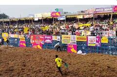 Palamedu Jallikattu 2024: முட்டித்தள்ளும் காளைகள்.. அசராத காளையர்கள்.. பாலமேடு ஜல்லிக்கட்டு புகைப்படங்கள்..!