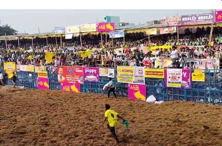 இந்த ஜல்லிக்கட்டை காண உலகம் முழுவதும் இருந்து மக்கள் மதுரைக்கு வருகை தந்துள்ளனர்