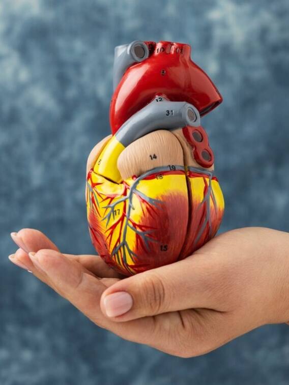 दिल को मजबूत करता है यह जूस