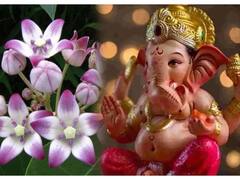 Sakat Chauth 2024: सकट चौथ व्रत जनवरी में कब ? इस साल की पहली बड़ी चौथ, जानें डेट, पूजा मुहूर्त