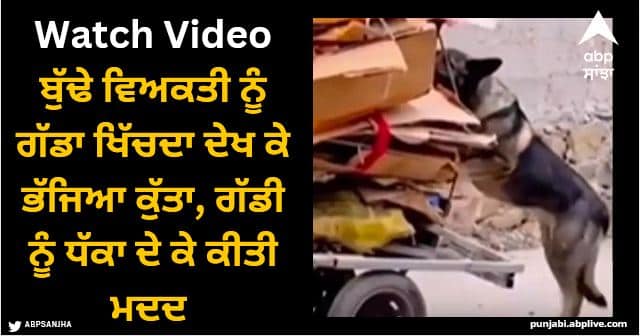 dog helps to elderly man by pushing the cart watch video Viral Video: ਬੁੱਢੇ ਵਿਅਕਤੀ ਨੂੰ ਗੱਡਾ ਖਿੱਚਦਾ ਦੇਖ ਕੇ ਭੱਜਿਆ ਕੁੱਤਾ, ਗੱਡੀ ਨੂੰ ਧੱਕਾ ਦੇ ਕੇ ਕੀਤੀ ਮਦਦ