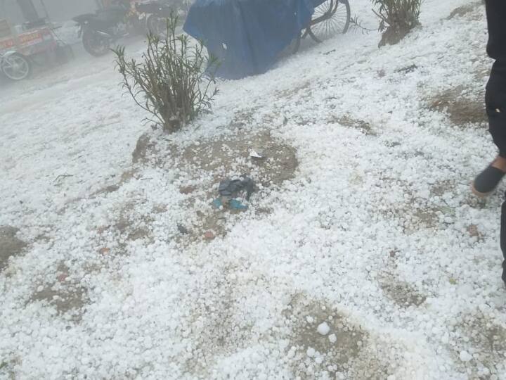 दिल्ली और नोएडा में साल 2019 में बर्फबारी के बाद किसी पहाड़ी इलाकों जैसी स्थिति बन गई थी. उस वक्त सभी लोग सोशल मीडिया पर फोटो अपलोड करके खुशी जाहिर कर रहे थे.