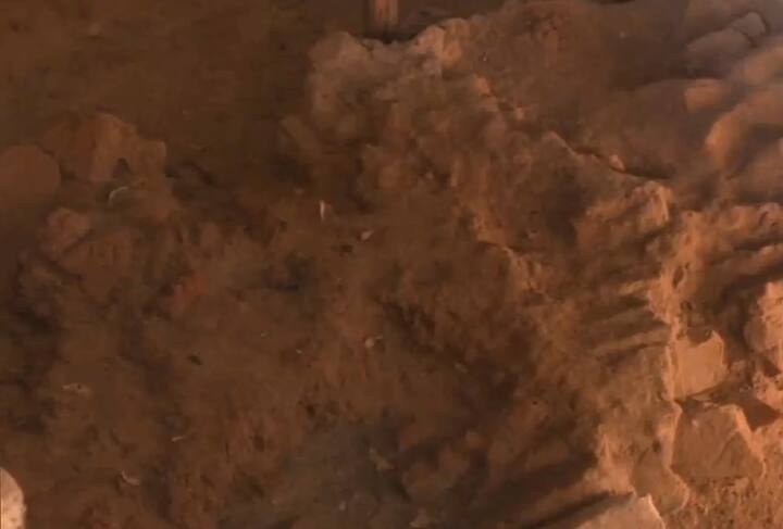 एएसआई के पुरातत्वविद अभिजीत अंबेकर ने समाचार एजेंसी पीटीआई को बताया है कि कई गहरी खाइयों में की गई खुदाई में सात सांस्कृतिक चरणों की उपस्थिति का पता चला है. इसमें मौर्य, इंडो-ग्रीक, इंडो-सीथियन या शक-क्षत्रप, हिंदू-सोलंकी, सल्तनत-मुगल (इस्लामी) से लेकर गायकवाड़-ब्रिटिश औपनिवेशिक शासन और आज वर्तमान में जारी शहर तक शामिल हैं. उन्होंने बताया कि इस खुदाई के दौरान सबसे पुराने बौद्ध मठों में से एक की खोज की गई है.