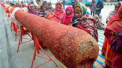 Ram Mandir Inauguration: ১০৮ ফুটের ধূপ! বিশালকার লাড্ডু! আর কীভাবে প্রস্তুতি অযোধ্যায়?