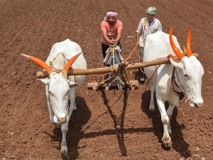 PM Kisan Yojana: किसानों के लिए केंद्र सरकार कई तरह की योजनाएं लागू करती हैं, जिनसे किसानों को आर्थिक मदद और लोन आदि दिए जाते हैं.