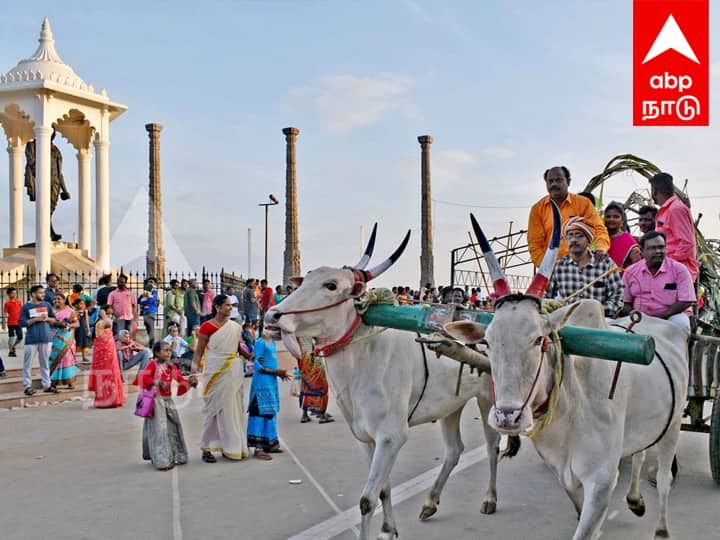 பாண்டிச்சேரி கடற்கரை சாலையில் போகும் மாட்டுவண்டி