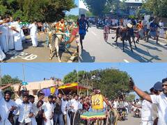 Rekla Race 2024 : திருக்கடையூரில் தொடங்கிய உலக புகழ் பெற்ற ரேக்ளா ரேஸ்!