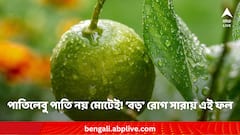 Lemon health benefits: পাতিলেবু পাতি নয় মোটেই ! ‘বড়’ রোগের মোকাবিলা করে ছোট্ট এই ফল