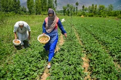 PM Kisan Yojana: किसानों को मिल सकता है नए साल का बड़ा तोहफा, इस योजना का बढ़ सकता है पैसा