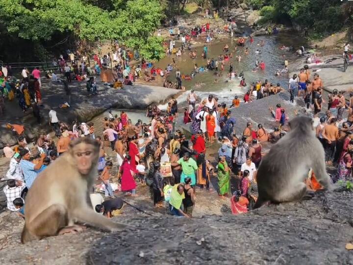 இயற்கை சூழலை ரசிக்கவும், அருவிகளில் குளிக்கவும் மக்கள் படையெடுத்து வந்தனர்.