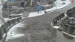Snowfall in Darjeeling: বাড়ি থেকে গাড়ির ছাদ, কোথাও নেই বাদ, বরফে ঢেকেছে দার্জিলিং