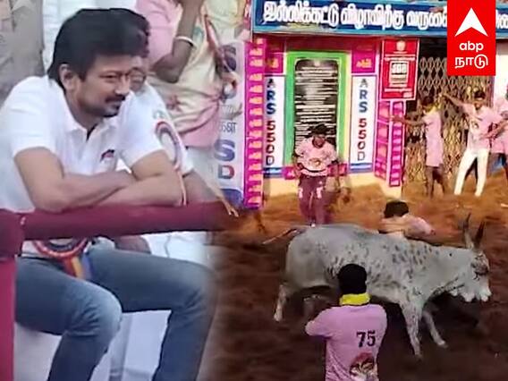 Alanganallur Jallikattu -  கெத்து காட்டும் காளைகள்... மல்லுக்கட்டும் வீரர்கள்!களத்திற்கு வந்த உதயநிதி