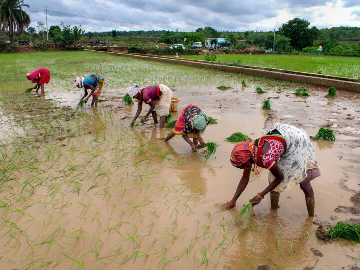 PM Kisan Yojana next installment Which farmers get money under scheme income limit and rules PM Kisan Yojana: पीएम किसान योजना में कौन से किसानों को मिलता है पैसा, क्या है आय की सीमा?