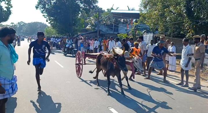 அதனைத் தொடர்ந்து இன்று காணும் பொங்கல் தினத்தில் குதிரை மாடுகளுக்கான எல்கை பந்தயம் 44 -ம் ஆண்டாக நடைபெற்று வருகிறது.