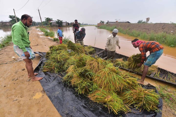 पीएम किसान योजना की 16वीं किस्त फरवरी में जारी हो सकती है, जिसका किसान इंतजार कर रहे हैं. हालांकि इस बार किसानों को नए साल का तोहफा मिल सकता है.