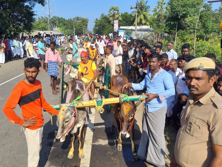 Pongal 2024: திருக்கடையூரில் தொடங்கியது உலகப் புகழ் பெற்ற ரேக்ளா ரேஸ்...! 