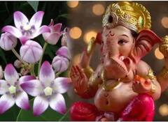 Sakat Chauth 2024: ਸਾਲ 2024 ‘ਚ ਸਾਕਤ ਚੌਥ ਵਰਤ ਕਦੋਂ? ਜਾਣੋ ਤਰੀਕ ਅਤੇ ਸਮਾਂ