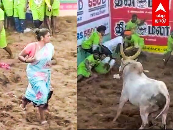 Alanganallur Jallikattu 2024: அசால்ட்டாக ஓடிய மாடு தங்கக்காசு வென்ற திருநங்கை!அண்ணன் வரார் வழிவிடு..
