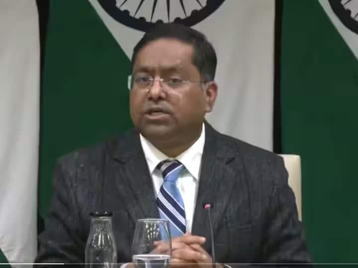 We Understand Actions Countries Take In Self Defence: India On Iran's Strikes On Pakistan