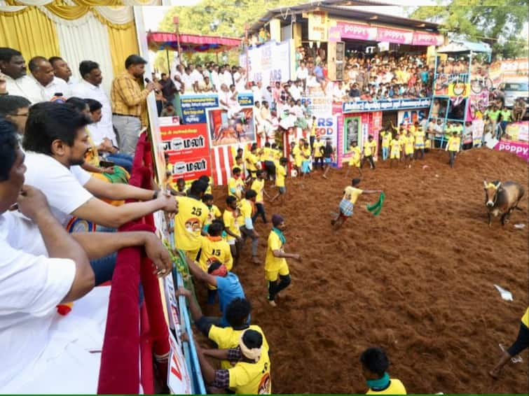 Tamil Nadu Minister Udhayanidhi Flags Off Madurai's Famous Alanganallur Jallikattu