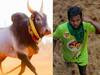 Jallikattu 2024: அலங்காநல்லூர் ஜல்லிக்கட்டு! 18 காளைகளை அடக்கி முதலிடத்தை தட்டித் தூக்கிய கருப்பாயூரணி கார்த்தி!