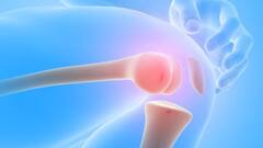 Joint Pain Prevention: শীতকালে গাঁটের ব্যথা বেশি ভোগায়? মুক্তি পেতে পারেন সহজেই