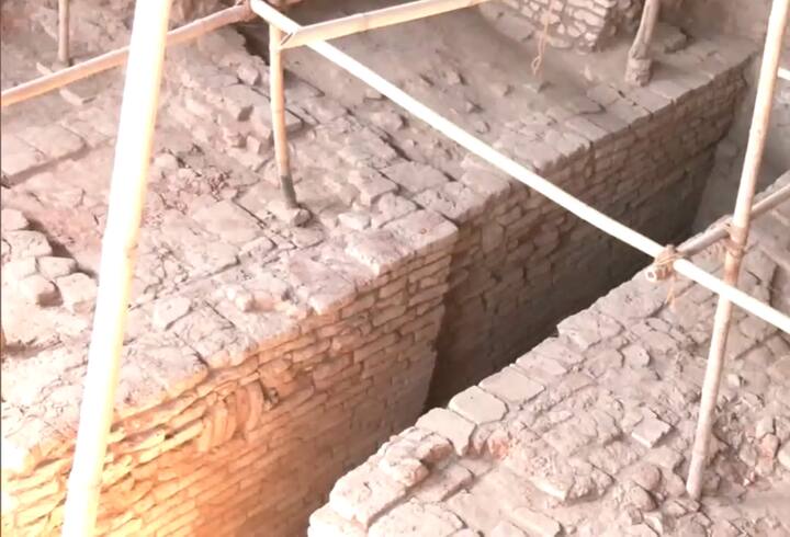 अंबेकर ने बताया कि खुदाई के दौरान मिट्‌टी के बर्तन, तांबा, सोना, चांदी, लोहे की वस्तुएं और जटिल डिजाइन वाली चूड़ियों जैसी पुरात्विक कलाकृतियां मिली हैं. उन्होंने बताया कि वडनगर में इंडो-ग्रीक शासन काल के यूनानी राजा एपोलोडैटस के सिक्के के सांचे भी पाए गए हैं. उन्होंने यह भी दावा किया है कि खोजे गए अवशेष वडनगर को भारत में अब तक खोदे गए एक ही किले के भीतर सबसे पुराना शहर बनाते हैं.