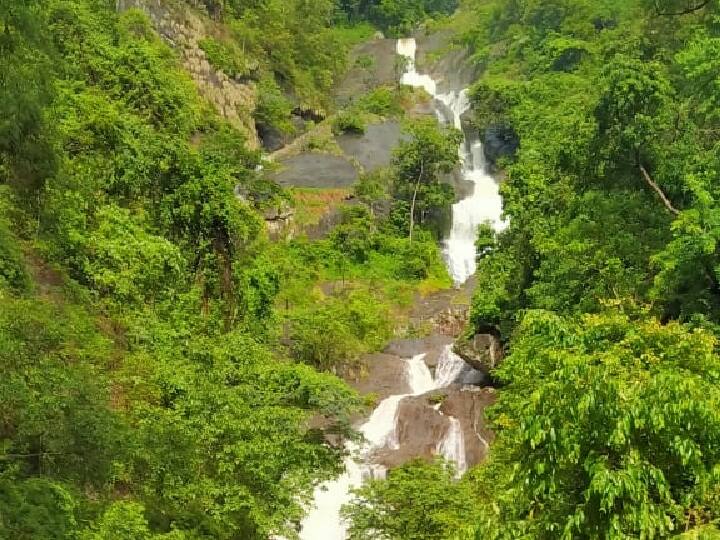 ஏராளமான சுற்றுலா பயணிகள் கோவை குற்றாலத்திற்கு அதிகளவில் வந்து செல்கின்றனர்.