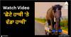 Viral Video: 'ਛੋਟੇ ਹਾਥੀ 'ਤੇ ਵੱਡਾ ਹਾਥੀ', ਸੜਕ 'ਤੇ ਦੇਖਣ ਨੂੰ ਮਿਲਿਆ ਅਜਿਹਾ ਨਜ਼ਾਰਾ, ਅੱਖਾਂ 'ਤੇ ਯਕੀਨ ਕਰਨਾ ਹੋ ਗਿਆ ਔਖਾ
