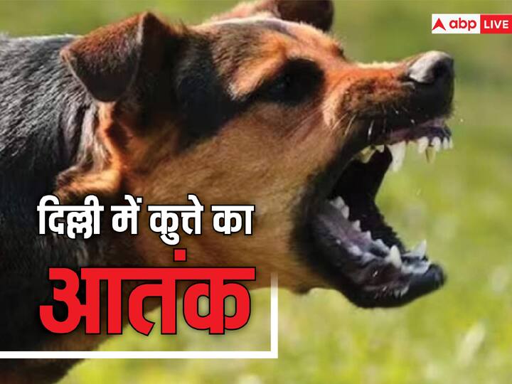 Delhi seven year old girl injured in american breed dog attack Police filed case  Delhi में कुत्ते का आतंक, अमेरिकन नस्ल के डॉग के हमले में सात साल की बच्ची घायल, पीड़िता के पिता ने लिया ये फैसला 