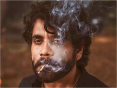 కనుమ రోజూ కింగ్ జోరు - మూడు రోజుల్లో 'నా సామి రంగ' కలెక్షన్స్ ఎంతంటే?