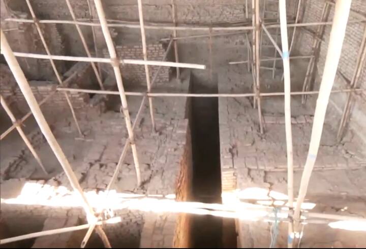 उन्होंने कहा, 