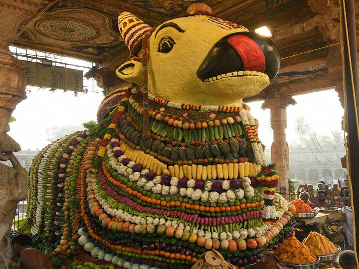 Pongal 2024 Tanjore Big Temple Maha Nandikeshwara is specially decorated with vegetables, sweets and fruits - TNN Pongal 2024: தஞ்சை பெரிய கோயில் மகா நந்திகேஸ்வரருக்கு காய்கறி, இனிப்பு, பழங்களால் சிறப்பு அலங்காரம்