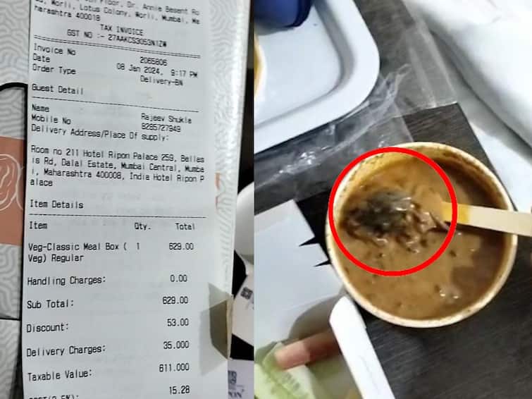 Man allegedly finds dead mouse in veg meal ordered from Barbeque Nation Mumbai Worli rajeev shukla BBQ gave reaction on this वरळीत ऑनलाईन जेवण मागवलं, त्यात मेलेला उंदिर सापडला, प्रसिद्ध कंपनीविरुद्ध पोलिसांत तक्रार, पण अद्याप FIR नाही!