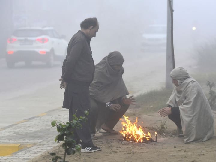 Weather updates Cold in North India   Weather updates : ઉત્તર ભારતમાં કાતિલ ઠંડીનું જોર વધ્યું, જાણો હવામાન વિભાગની આગાહી વિશે